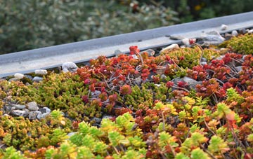 the cost of Etchilhampton green roof installation