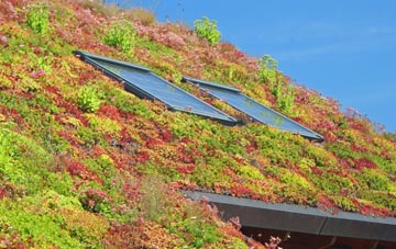 Etchilhampton living roof systems