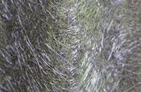 Etchilhampton fibreglass roof work